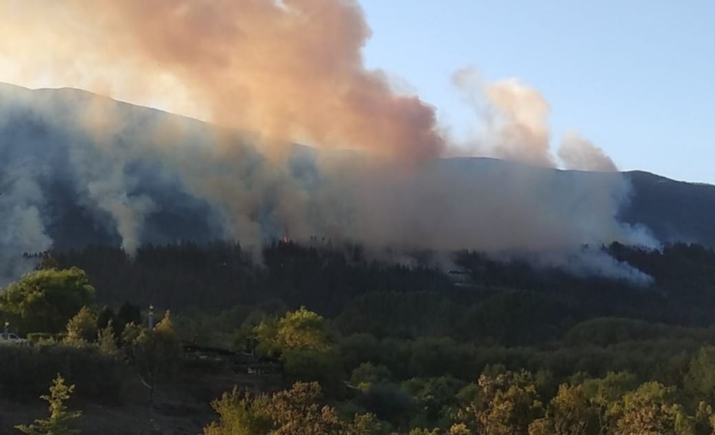 PIDEN QUE LA JUSTICIA INVESTIGUE EL INCENDIO DE LAGO PUELO