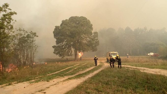 FABIÁN GARCÍA:"COMBATIR EL FUEGO EN CORRIENTES FUE UNA EXPERIENCIA HISTÓRICA"