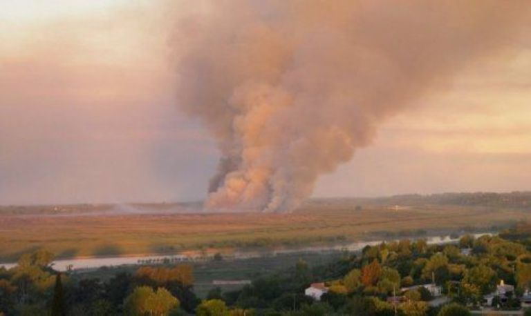 ASEGURAN QUE EL INCENDIO DE CAMPANA FUE INTENCIONAL