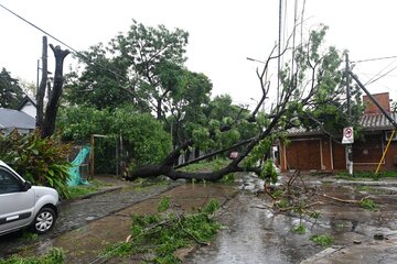 LA PROVINCIA TRABAJA EN LOS MUNICIPIOS AFECTADOS POR EL TEMPORAL