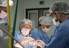 DESTACAN QUE LA PROVINCIA DE BUENOS AIRES APORTÓ CASI EL 40% DEL TOTAL NACIONAL