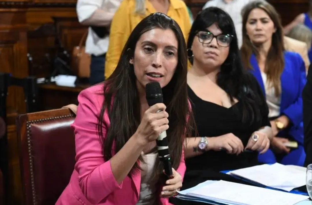 FLORENCIA LÓPEZ: "EL PRESIDENTE NO PUEDE MANEJARSE POR DNU"