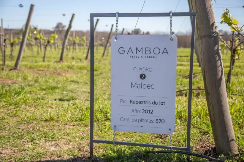 BODEGA GAMBOA UN EMPRENDIMIENTO QUE SE PUEDE DISFRUTAR EN LA PROVINCIA