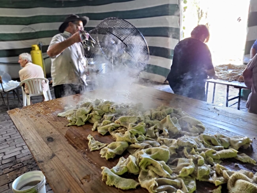 PONDERAN A LA FIESTA DEL MONDONGO Y  LA TORTA FRITA