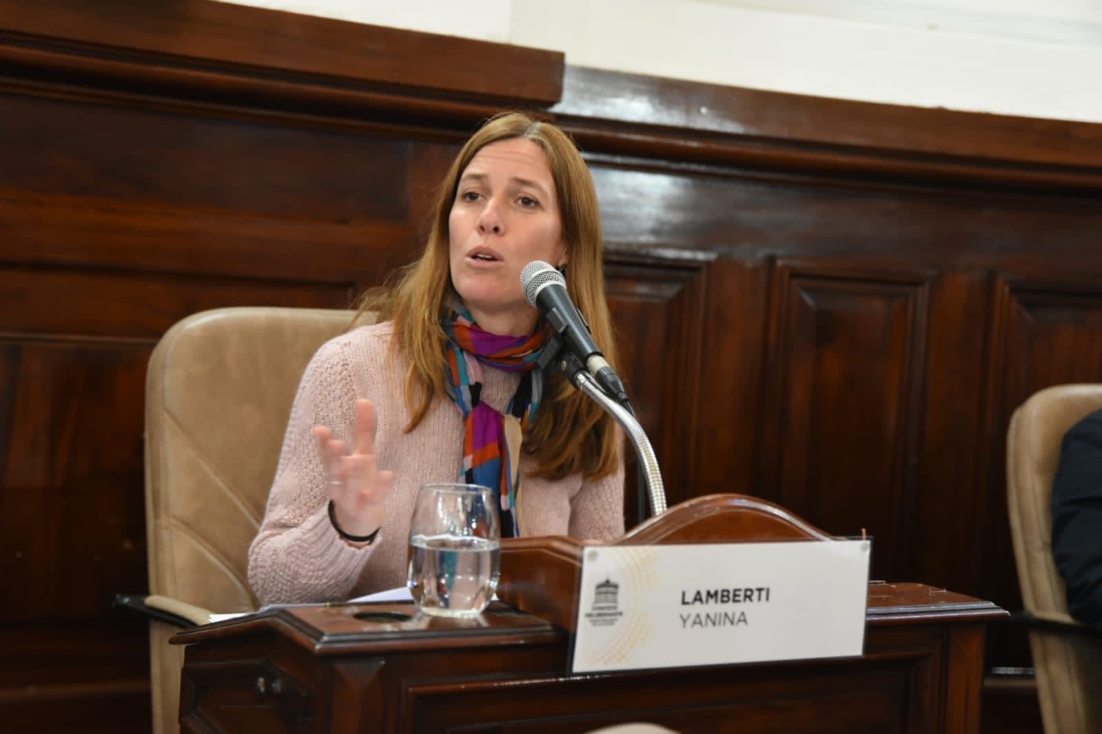 YANINA LAMBERTI VALORÓ LA CREACIÓN DEL FONDO DE APOYO SOCIOEDUCATIVO