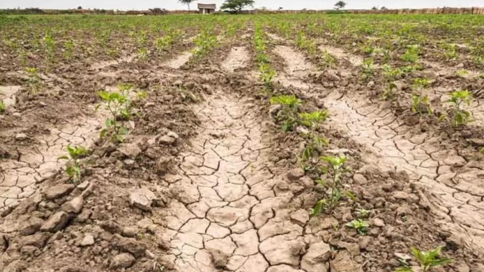 PRODUCTORES RECLAMAN QUE EL GOBIERNO NACIONAL HOMOLOGUE LA EMERGENCIA AGROPECUARIA