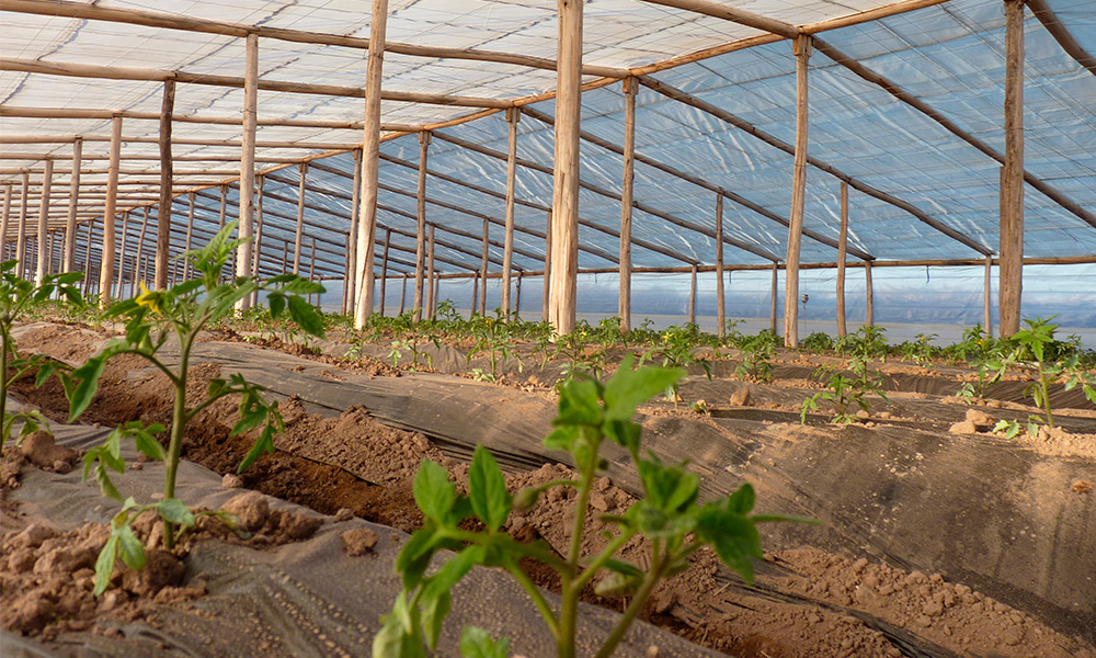 PRODUCTORES DE LA PLATA ADVIERTEN SOBRE LA "COMPLEJIDAD" PARA LAS SIEMBRAS