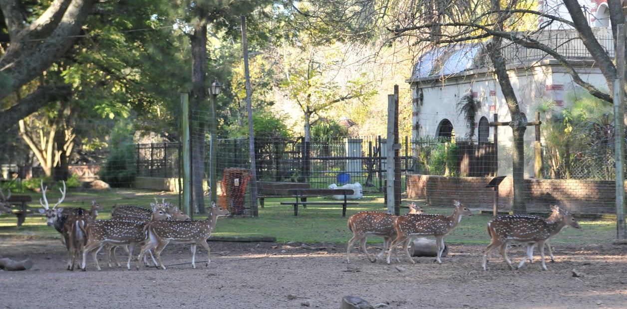 LORENA HAURIGOT: “LA SOCIEDAD TIENE QUE ACOMPAÑAR LA EVOLUCIÓN DEL ZOOLÓGICO”