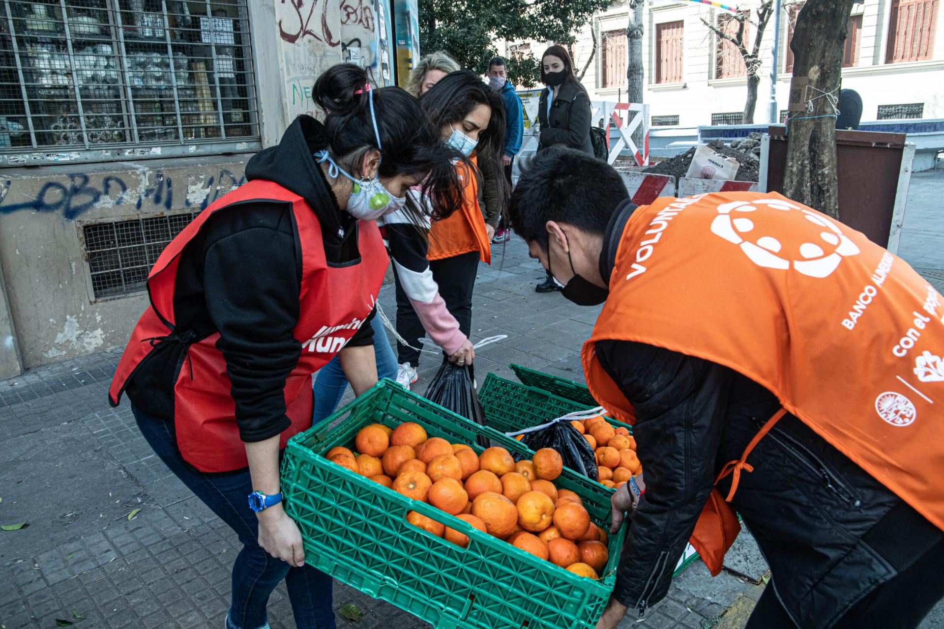 ULTIMAN DETALLES PARA LA SEGUNDA CAMPAÑA DE COSECHA “MISIÓN NARANJA”