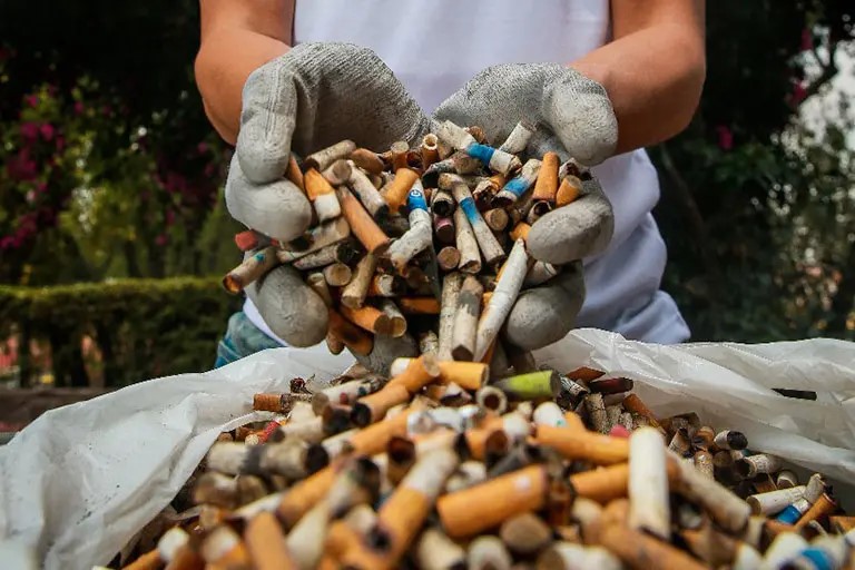 AVANZA LA CREACIÓN DE UNA PLANTA DE TRATAMIENTO PARA COLILLAS DE CIGARRILLOS