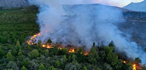 INCENDIOS: PIDEN DECLARAR ZONA DE DESASTRE A LAS COMARCAS ANDINAS