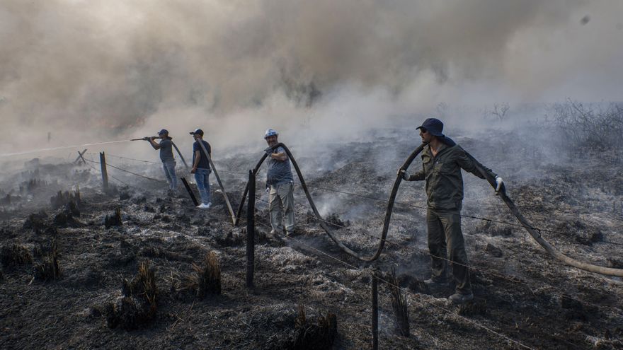 ADVIERTEN QUE SIN LLUVIAS IMPORTANTES ES DIFÍCIL CONTROLAR LOS INCENDIOS EN CORRIENTES