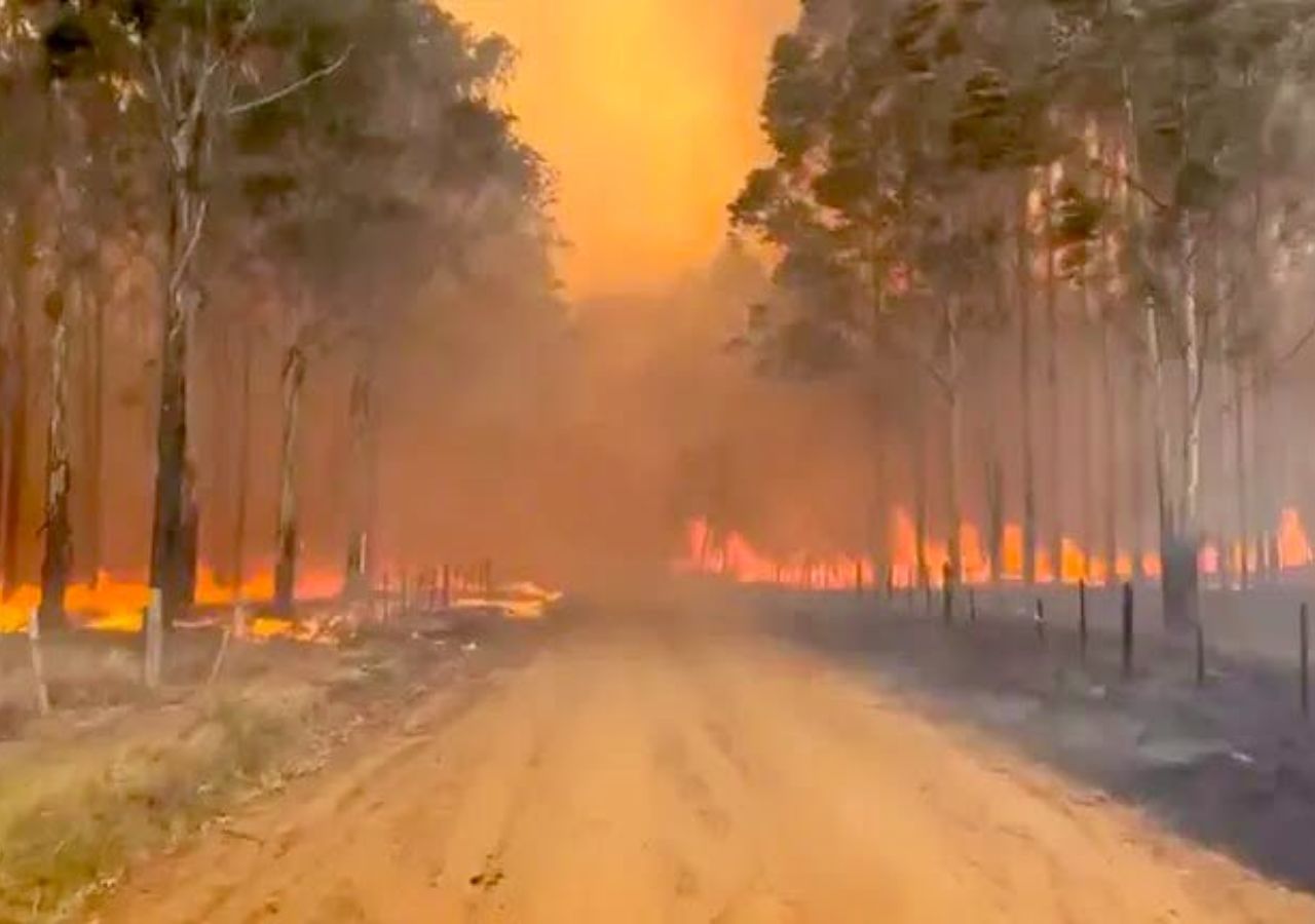 “LOS INCENDIOS EN CORRIENTES SON UNA TRAGEDIA AMBIENTAL Y PRODUCTIVA”