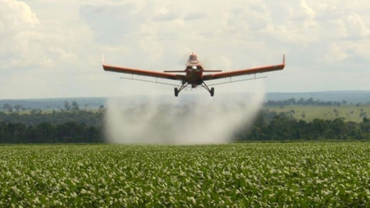 IMPUTAN  A UN PRODUCTOR AGROPECUARIO POR ENVENENAR Y CONTAMINAR EL AMBIENTE