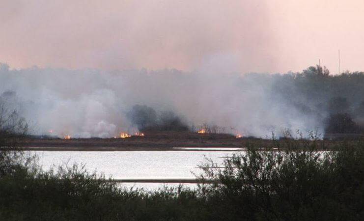 LA PROVINCIA DECLARÓ LA EMERGENCIA AMBIENTAL EN EL DELTA DEL PARANÁ