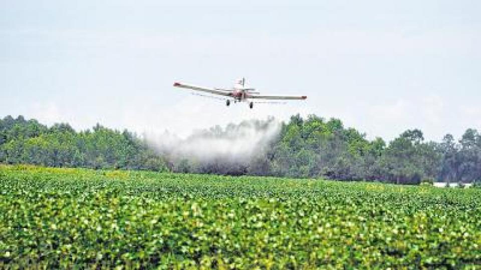 EL AGUA EN PERGAMINO TIENE AGROTÓXICOS