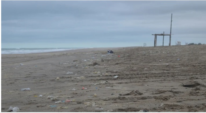 PLAYAS BONAERENSES: LA FUNDACIÓN VIDA SILVESTRE PIDE RESPONSABILIDAD A LOS VERANEANTES